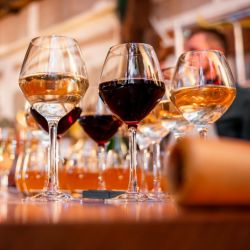 photographe reportage entreprise jardinage anniversaire dinan saint malo bretagne ameliegraphie